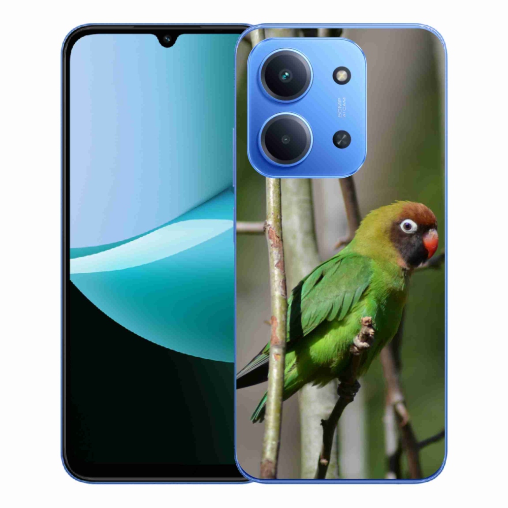 Gelový kryt mmCase na Xiaomi Redmi 15C 4G/5G (173mm) - papoušek agapornis