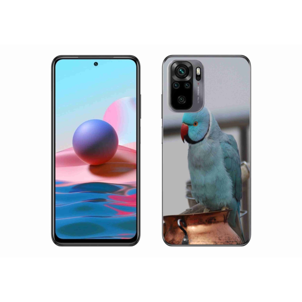 Gelový kryt mmCase na Xiaomi Redmi Note 10 - papoušek alexandr modrý