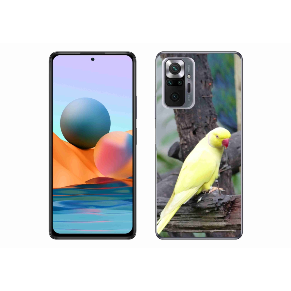 Gelový kryt mmCase na Xiaomi Redmi Note 10 Pro - papoušek alexandr žlutý