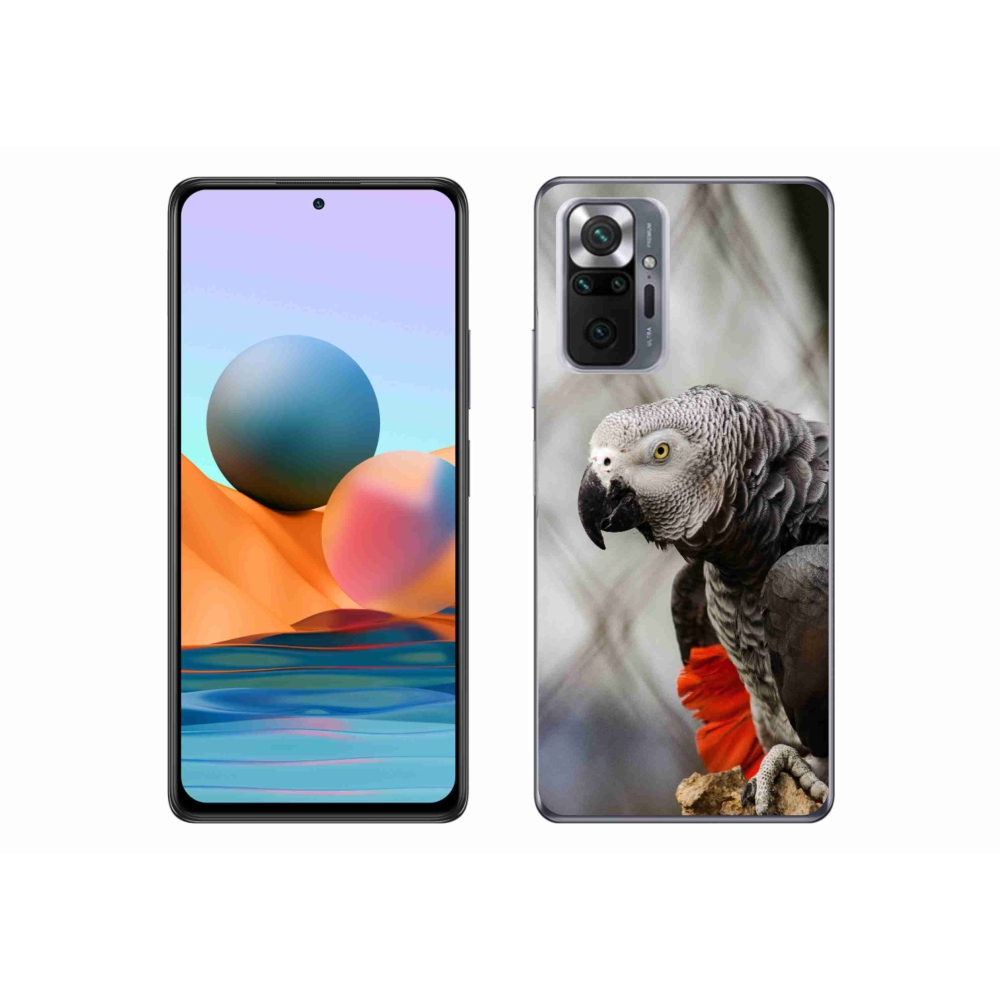 Gelový kryt mmCase na Xiaomi Redmi Note 10 Pro - papoušek žako 3