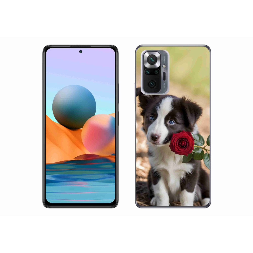 Gelový kryt mmCase na Xiaomi Redmi Note 10 Pro - roztomilá border kolie s růží
