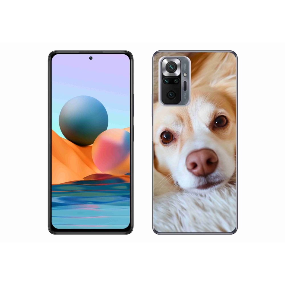 Gelový kryt mmCase na Xiaomi Redmi Note 10 Pro - Roztomilá čivava