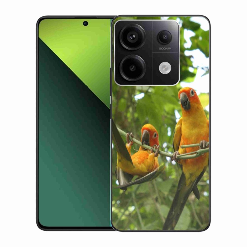 Gelový kryt mmCase na Xiaomi Redmi Note 13 Pro 5G/Poco X6 5G - papoušci aratingy