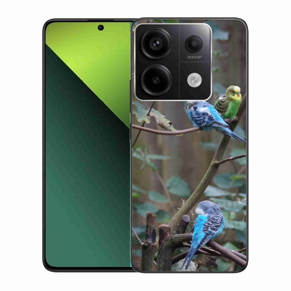 Gelový kryt mmCase na Xiaomi Redmi Note 13 Pro 5G/Poco X6 5G - papoušci na větvi