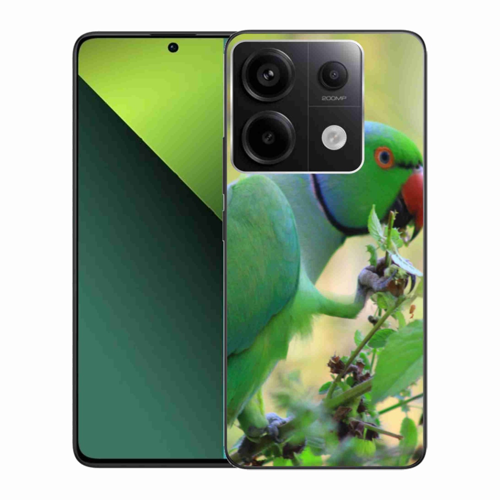 Gelový kryt mmCase na Xiaomi Redmi Note 13 Pro 5G/Poco X6 5G - papoušek alexandr