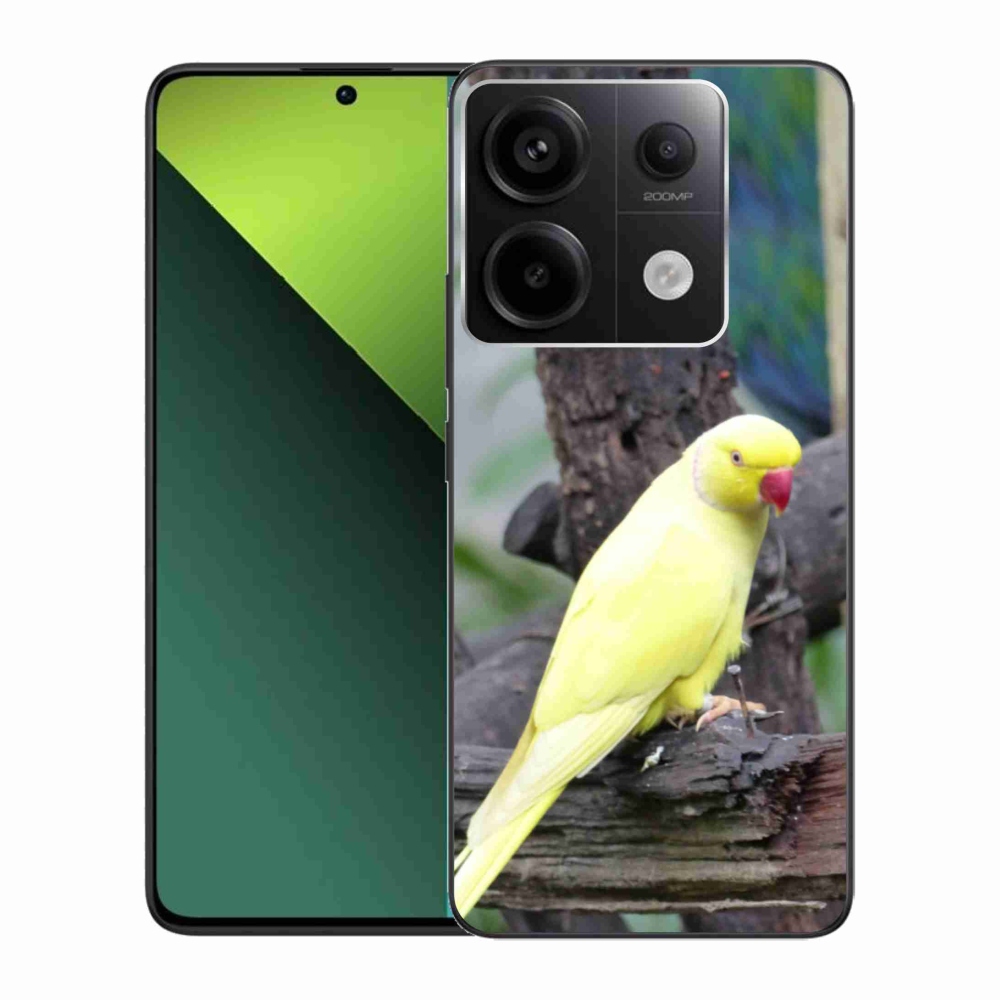 Gelový kryt mmCase na Xiaomi Redmi Note 13 Pro 5G/Poco X6 5G - papoušek alexandr žlutý