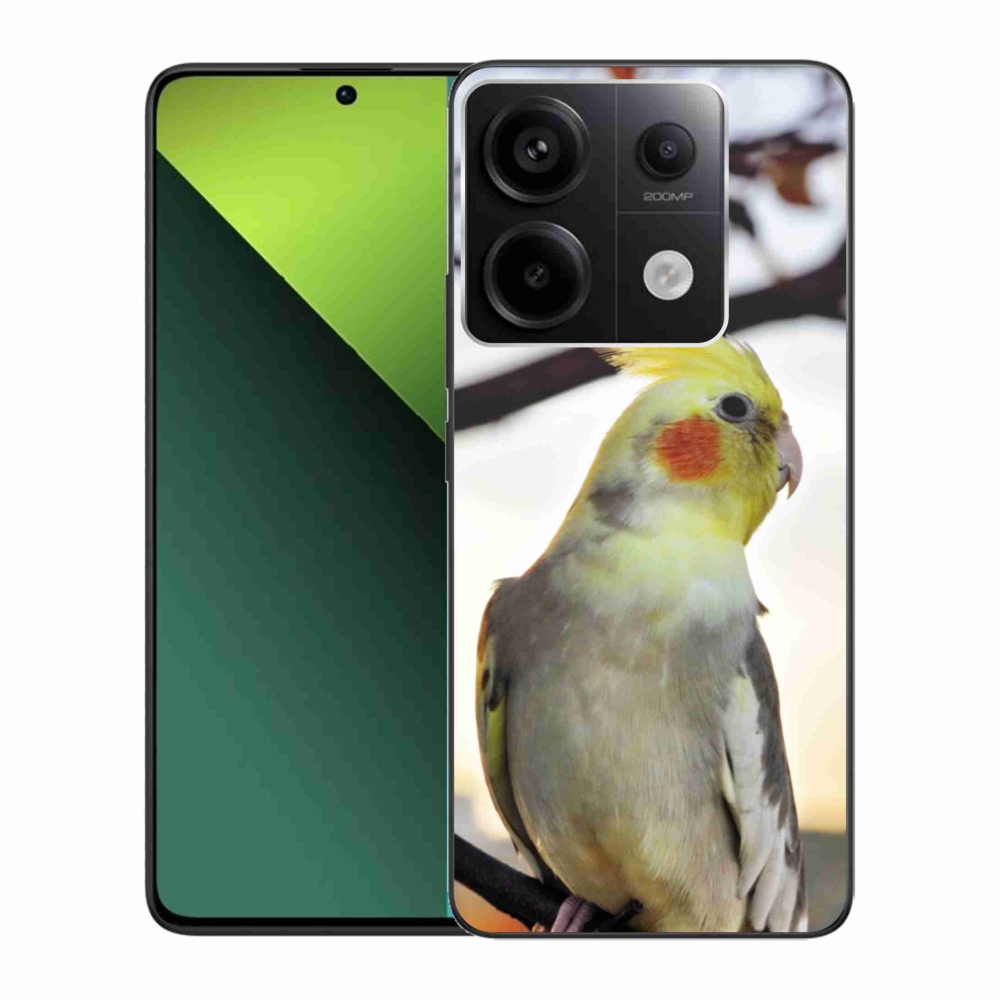 Gelový kryt mmCase na Xiaomi Redmi Note 13 Pro 5G/Poco X6 5G - papoušek korela