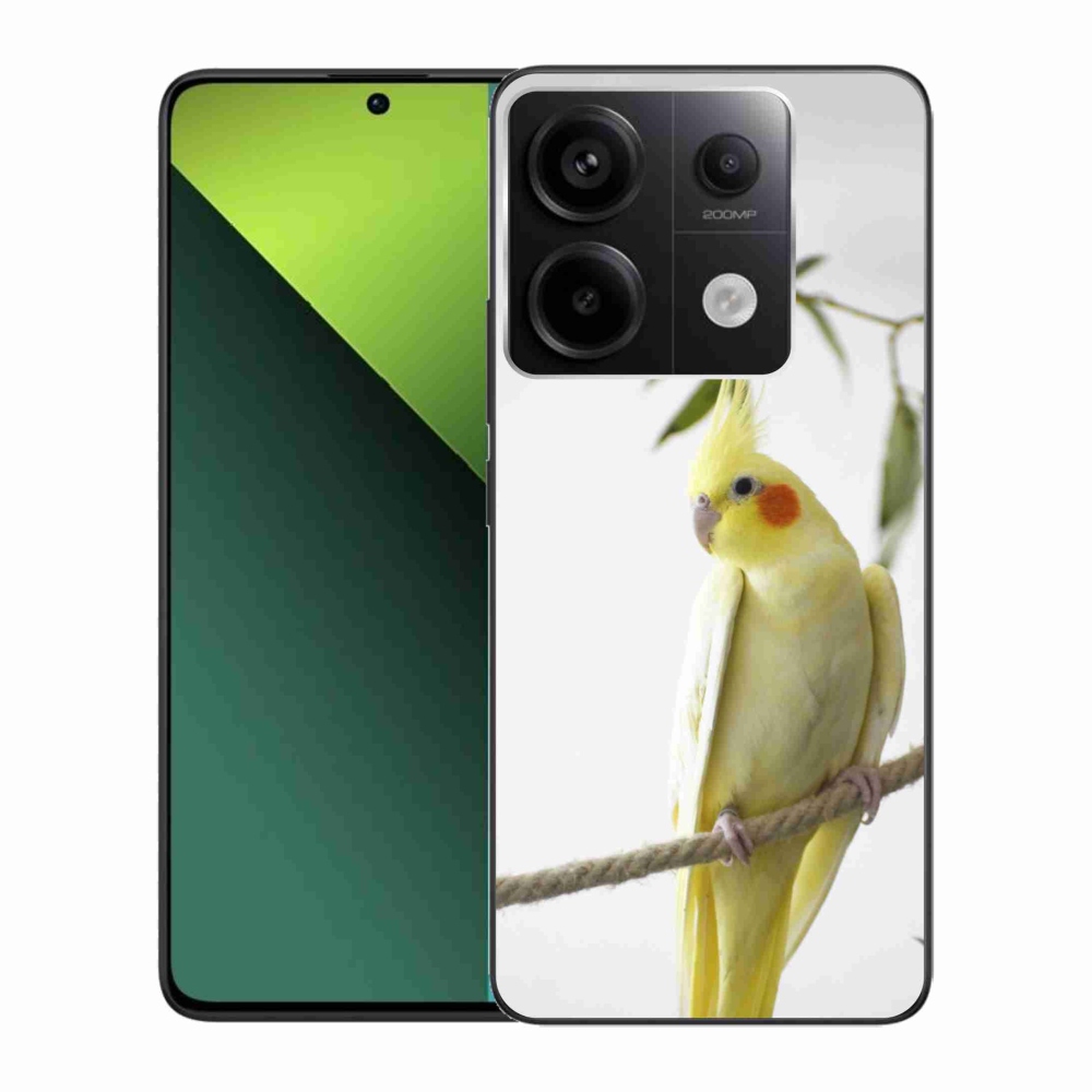 Gelový kryt mmCase na Xiaomi Redmi Note 13 Pro 5G/Poco X6 5G - papoušek korela chocholatá