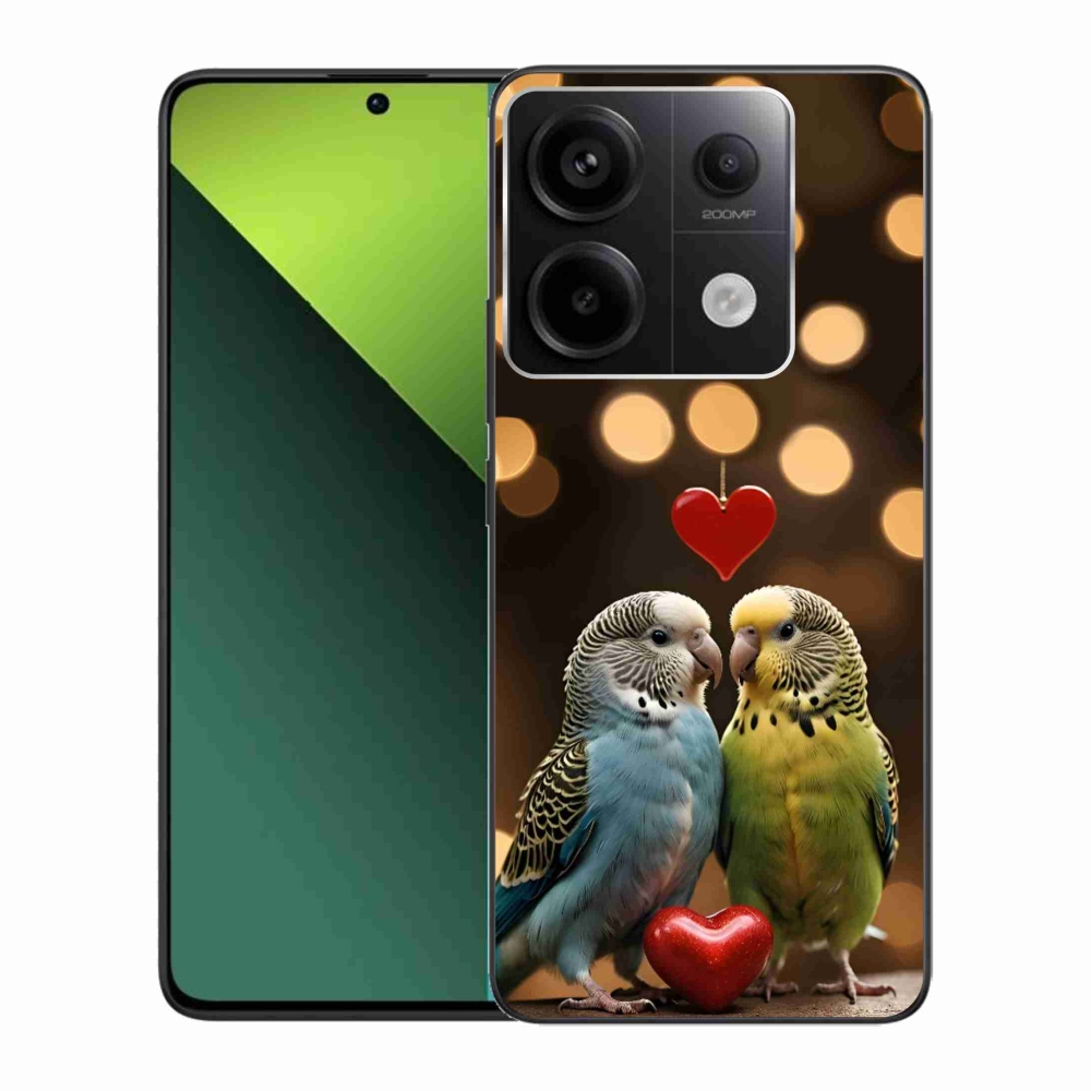 Gelový kryt mmCase na Xiaomi Redmi Note 13 Pro 5G/Poco X6 5G - zamilovaní papoušci