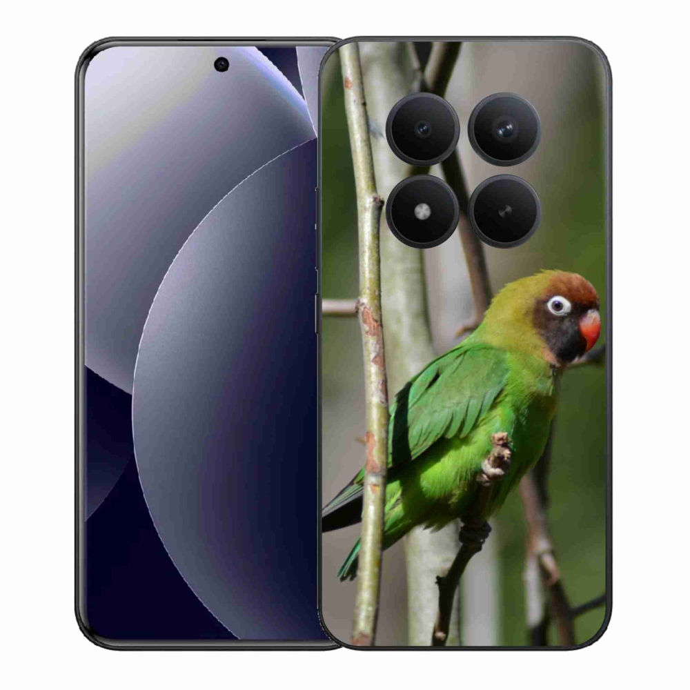 Gelový kryt mmCase na Xiaomi Redmi Note 15 Pro+ 5G/Xiaomi Poco M8 Pro 5G - papoušek agapornis