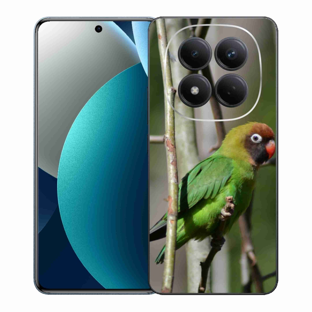 Gelový kryt mmCase na Xiaomi Redmi Note 15 Pro - papoušek agapornis