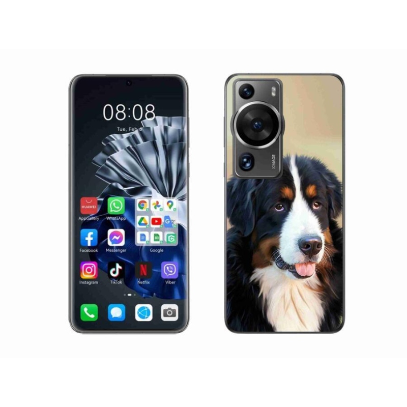 Gelový obal mmCase na Huawei P60 Pro - bernský salašnický pes