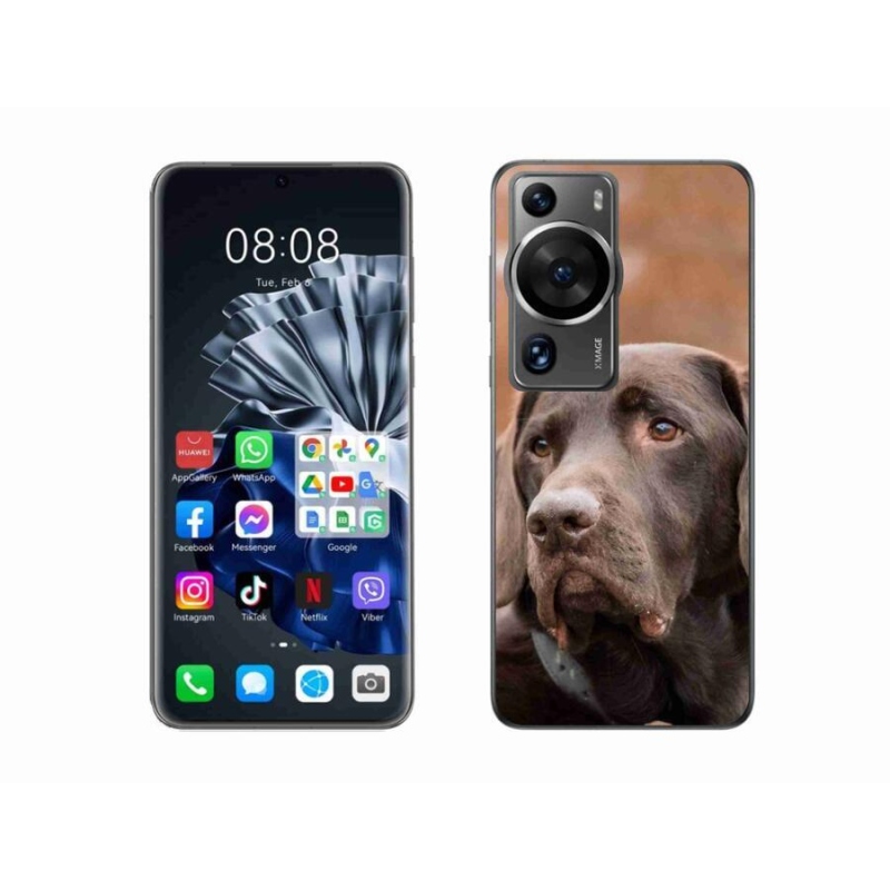 Gelový obal mmCase na Huawei P60 Pro - hnědý labrador