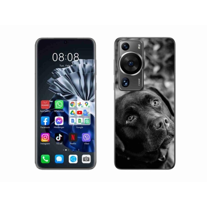 Gelový obal mmCase na Huawei P60 Pro - labrador