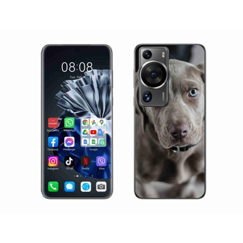 Gelový obal mmCase na Huawei P60 Pro - výmarský ohař