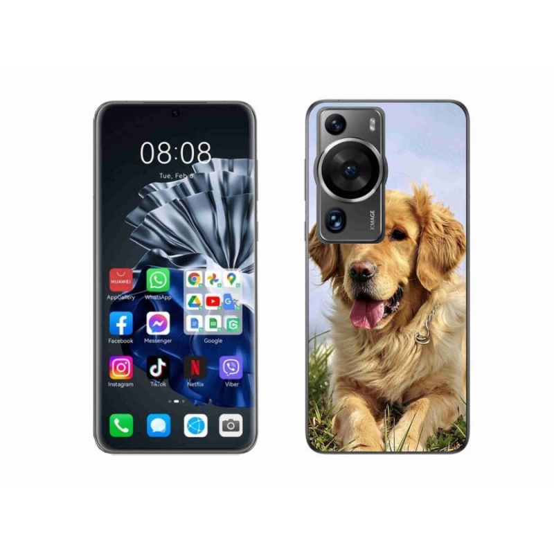 Gelový obal mmCase na Huawei P60 Pro - zlatý retrívr