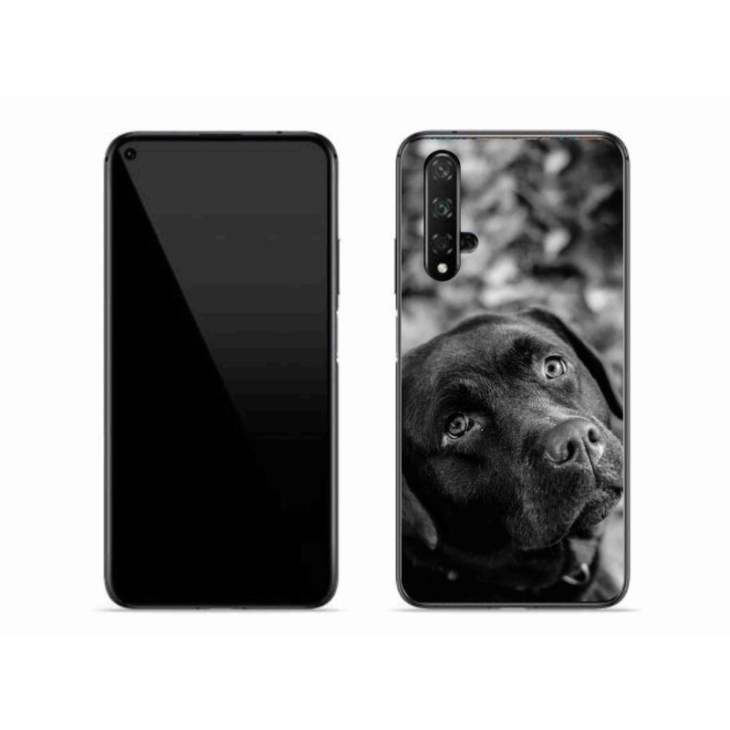 Gelový obal mmCase na mobil Honor 20 - labrador