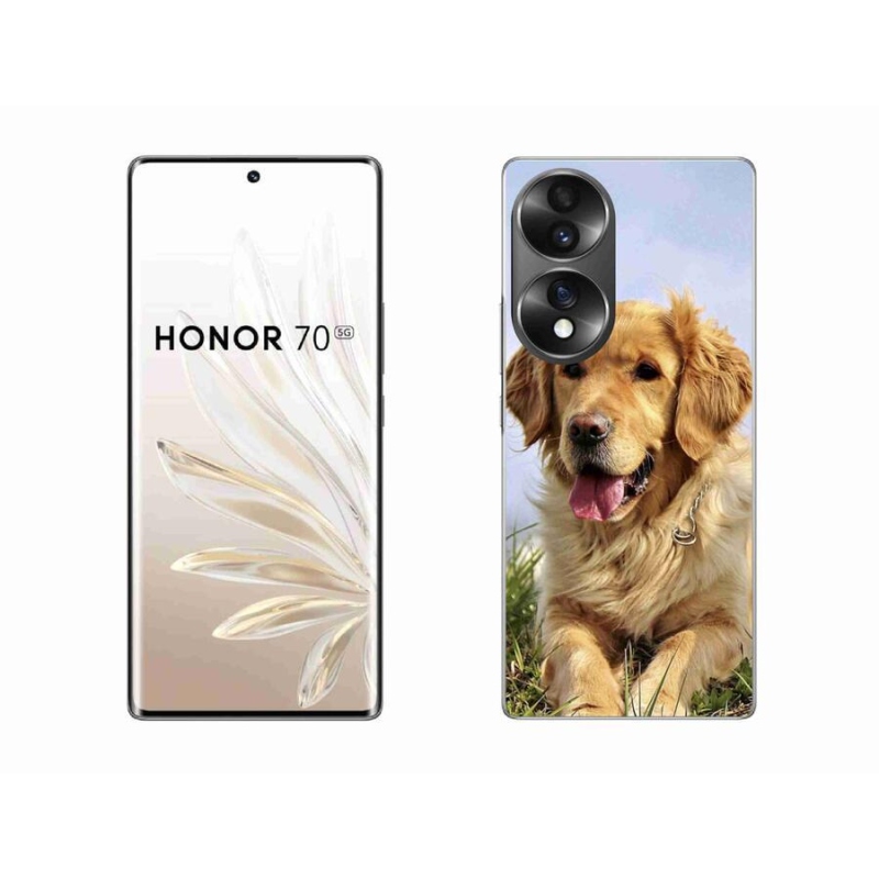 Gelový obal mmCase na mobil Honor 70 - zlatý retrívr