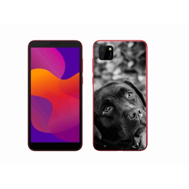 Gelový obal mmCase na mobil Honor 9S - labrador