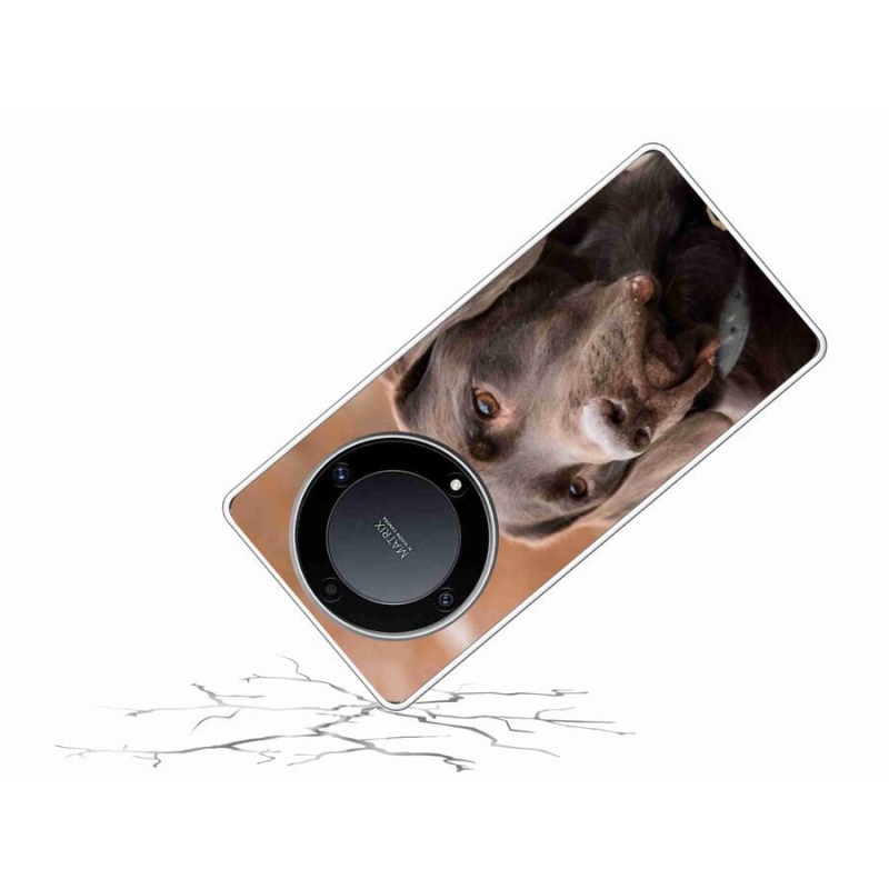 Gelový obal mmCase na mobil Honor Magic 5 Lite 5G - hnědý labrador