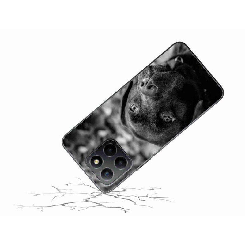 Gelový obal mmCase na mobil Honor X8 5G/Honor 70 Lite 5G - labrador