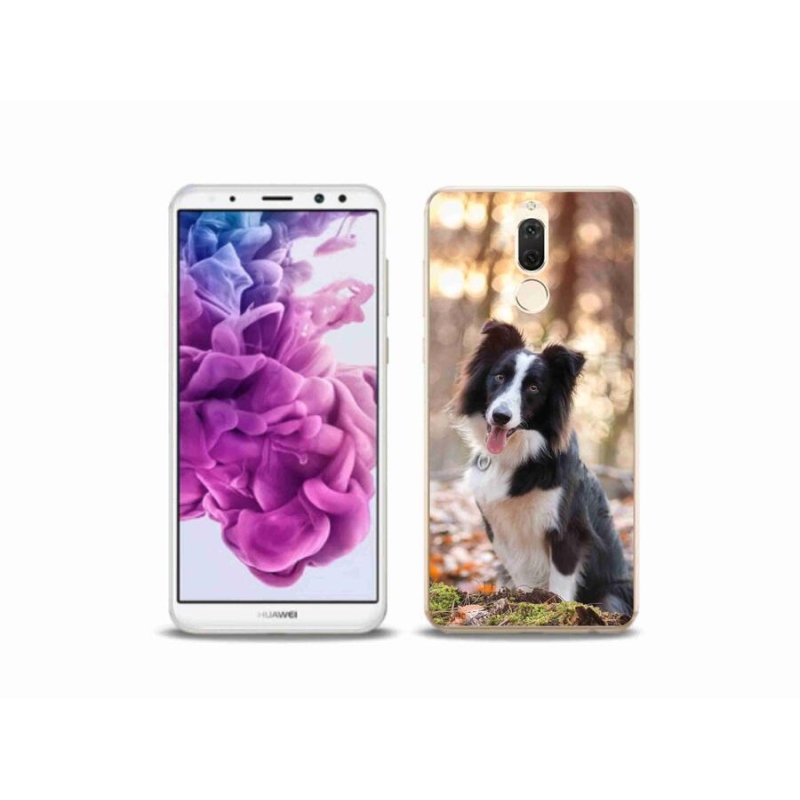Gelový obal mmCase na mobil Huawei Mate 10 Lite - border kolie 1