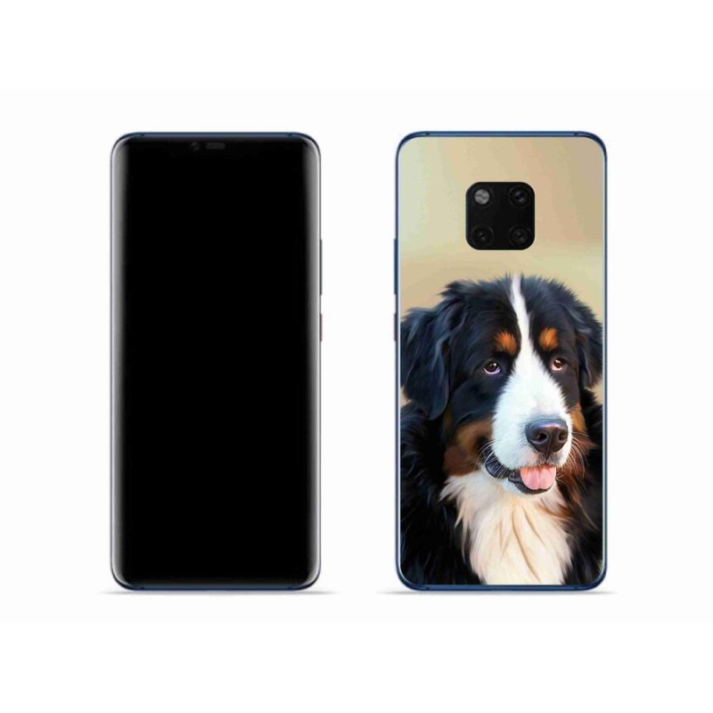 Gelový obal mmCase na mobil Huawei Mate 20 Pro - bernský salašnický pes