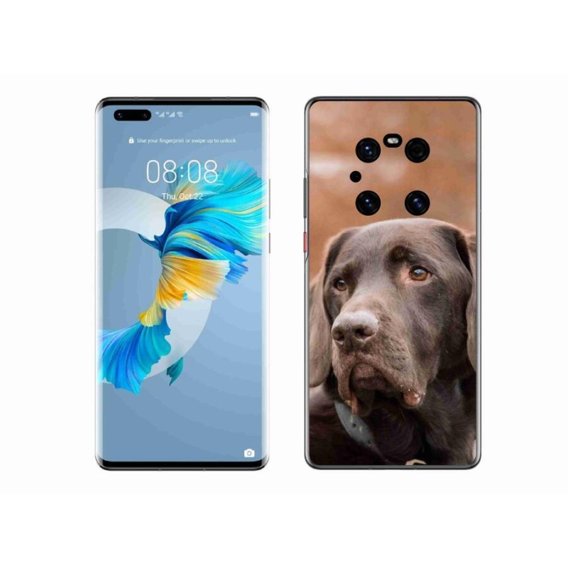 Gelový obal mmCase na mobil Huawei Mate 40 Pro - hnědý labrador
