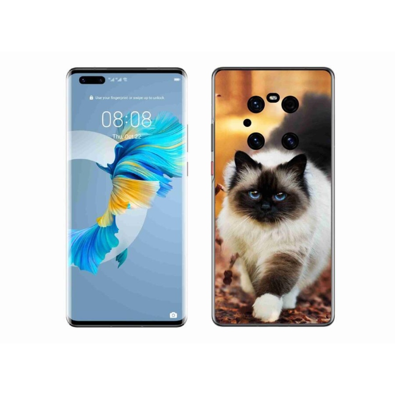 Gelový obal mmCase na mobil Huawei Mate 40 Pro - kočka 1