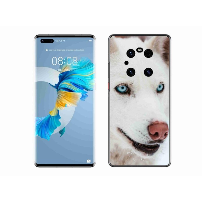Gelový obal mmCase na mobil Huawei Mate 40 Pro - psí pohled
