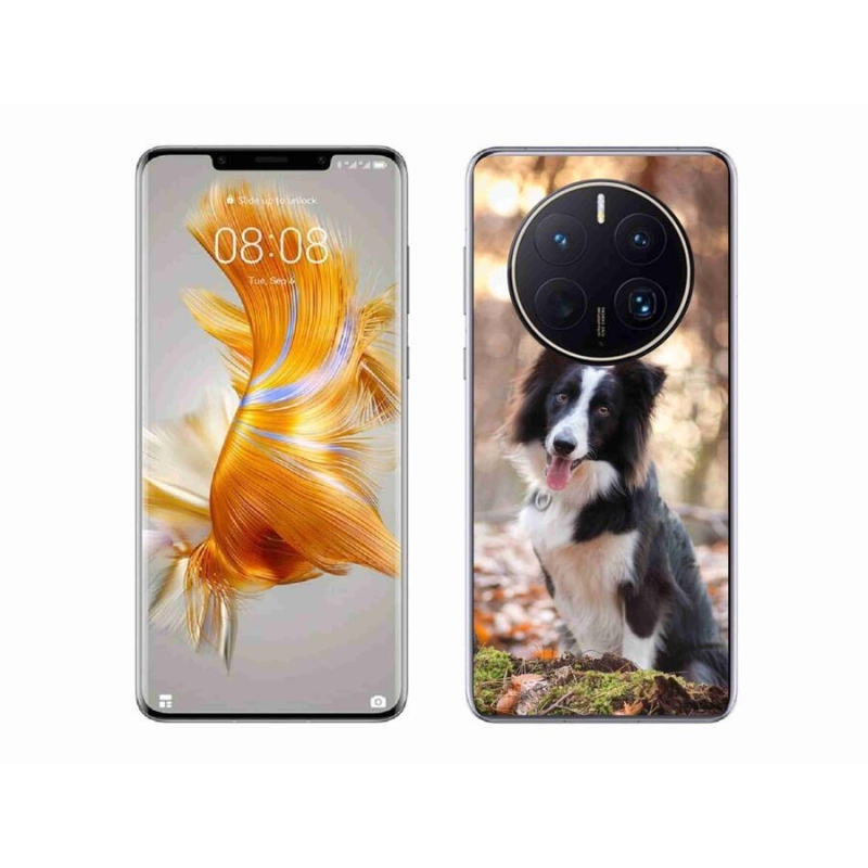 Gelový obal mmCase na mobil Huawei Mate 50 Pro - border kolie 1