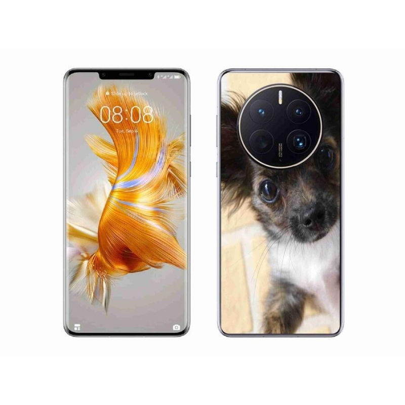 Gelový obal mmCase na mobil Huawei Mate 50 Pro - čivava 2