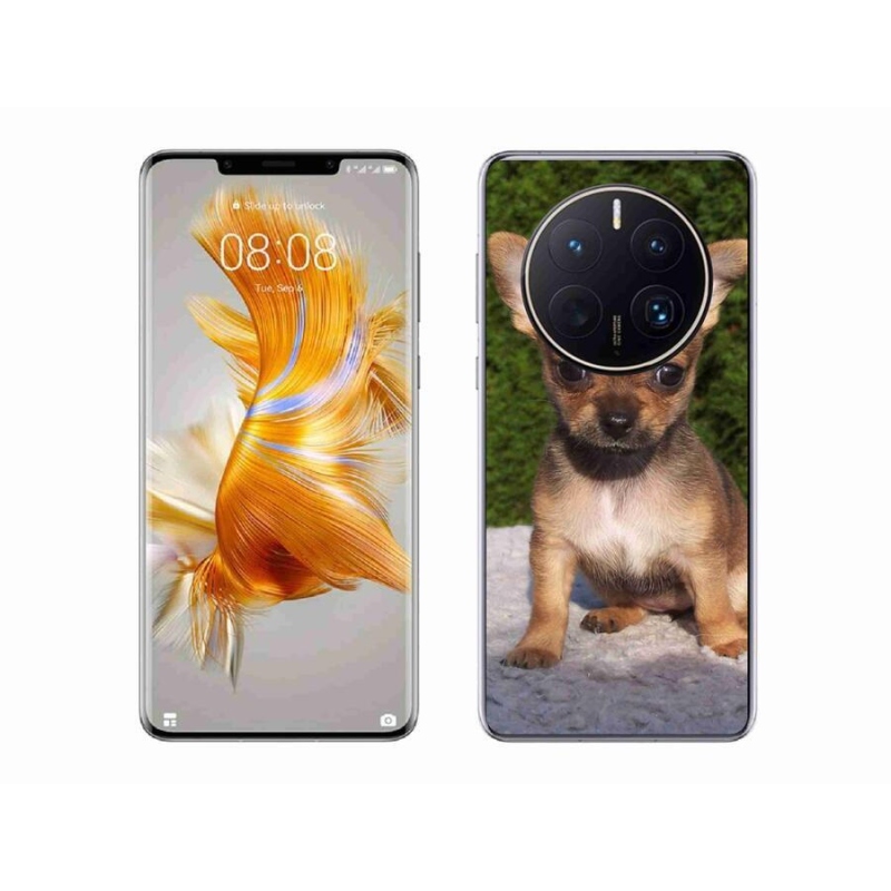 Gelový obal mmCase na mobil Huawei Mate 50 Pro - čivava 3