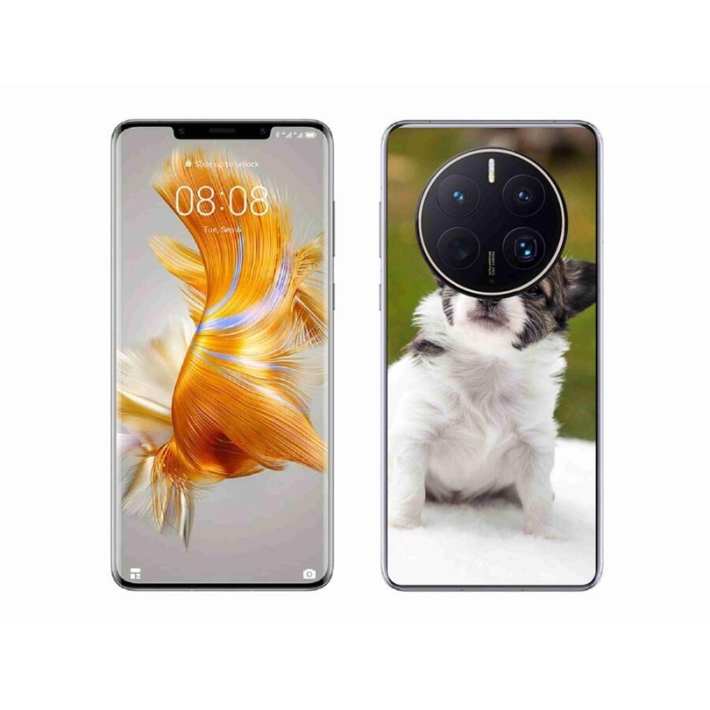 Gelový obal mmCase na mobil Huawei Mate 50 Pro - čivava 4