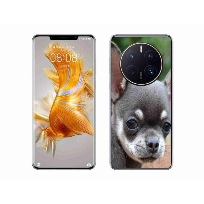 Gelový obal mmCase na mobil Huawei Mate 50 Pro - čivava