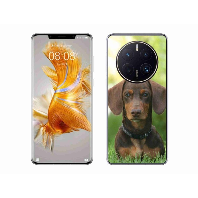 Gelový obal mmCase na mobil Huawei Mate 50 Pro - hnědý jezevčík