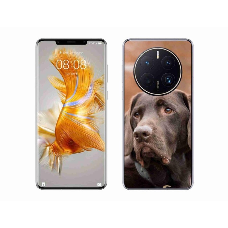 Gelový obal mmCase na mobil Huawei Mate 50 Pro - hnědý labrador