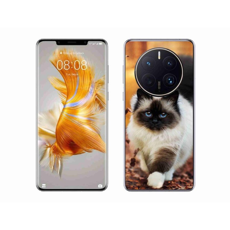 Gelový obal mmCase na mobil Huawei Mate 50 Pro - kočka
