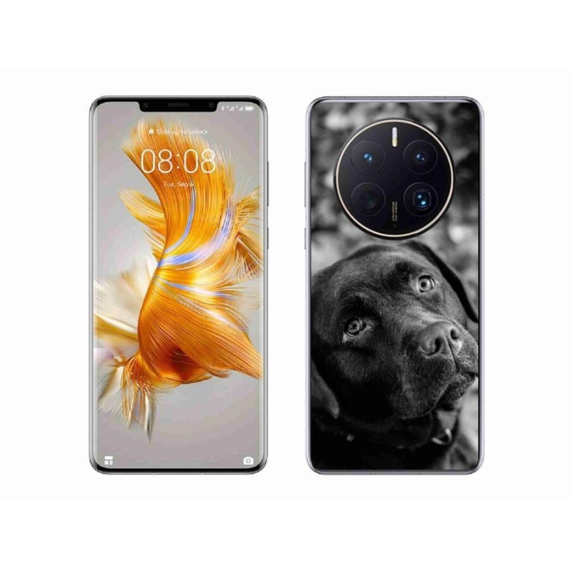 Gelový obal mmCase na mobil Huawei Mate 50 Pro - labrador