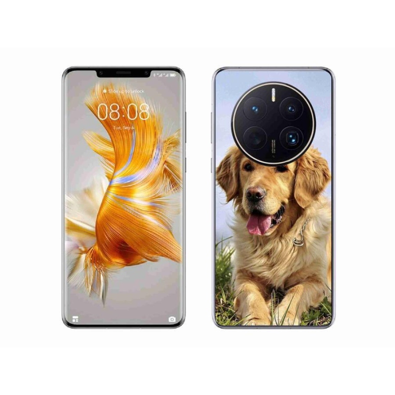 Gelový obal mmCase na mobil Huawei Mate 50 Pro - zlatý retrívr