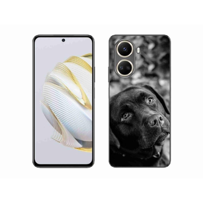 Gelový obal mmCase na mobil Huawei Nova 10 SE - labrador