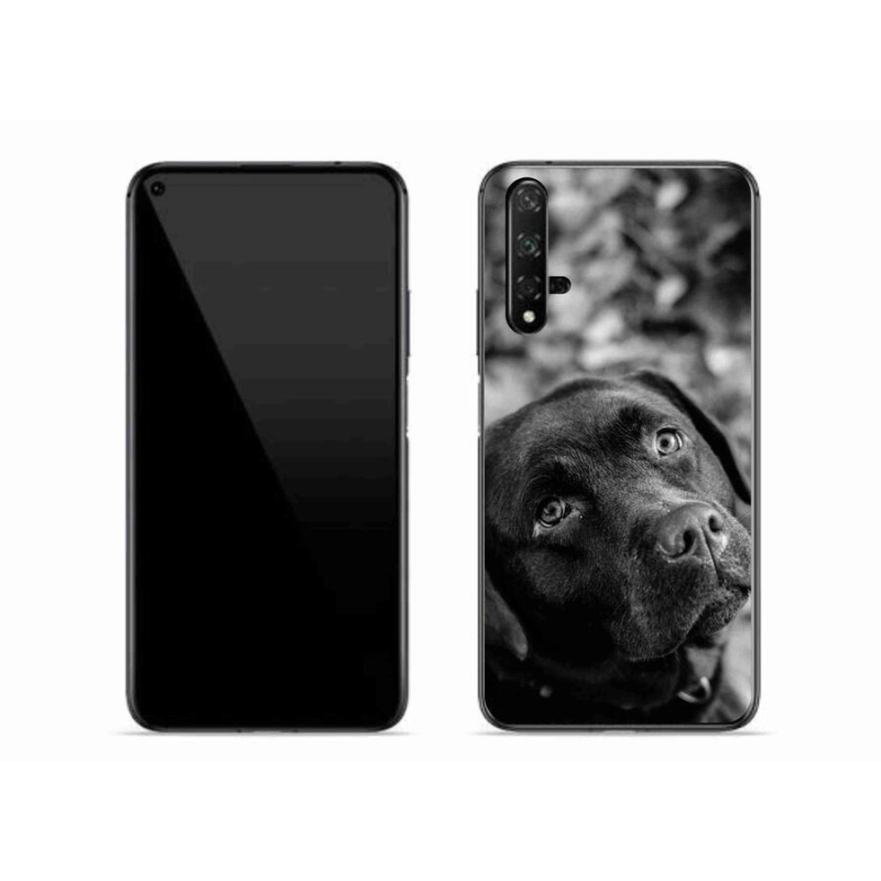 Gelový obal mmCase na mobil Huawei Nova 5T - labrador