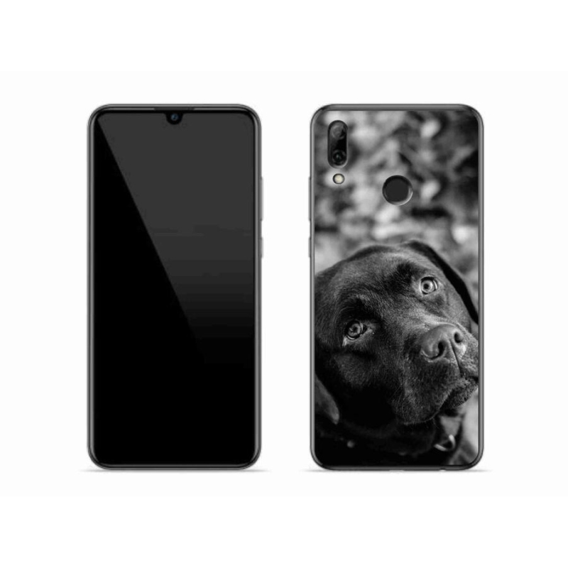 Gelový obal mmCase na mobil Huawei P Smart (2019) - labrador