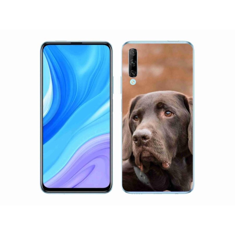 Gelový obal mmCase na mobil Huawei P Smart Pro (2019) - hnědý labrador
