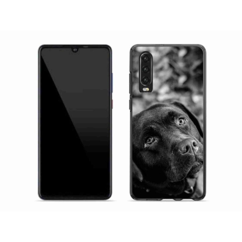 Gelový obal mmCase na mobil Huawei P30 - labrador