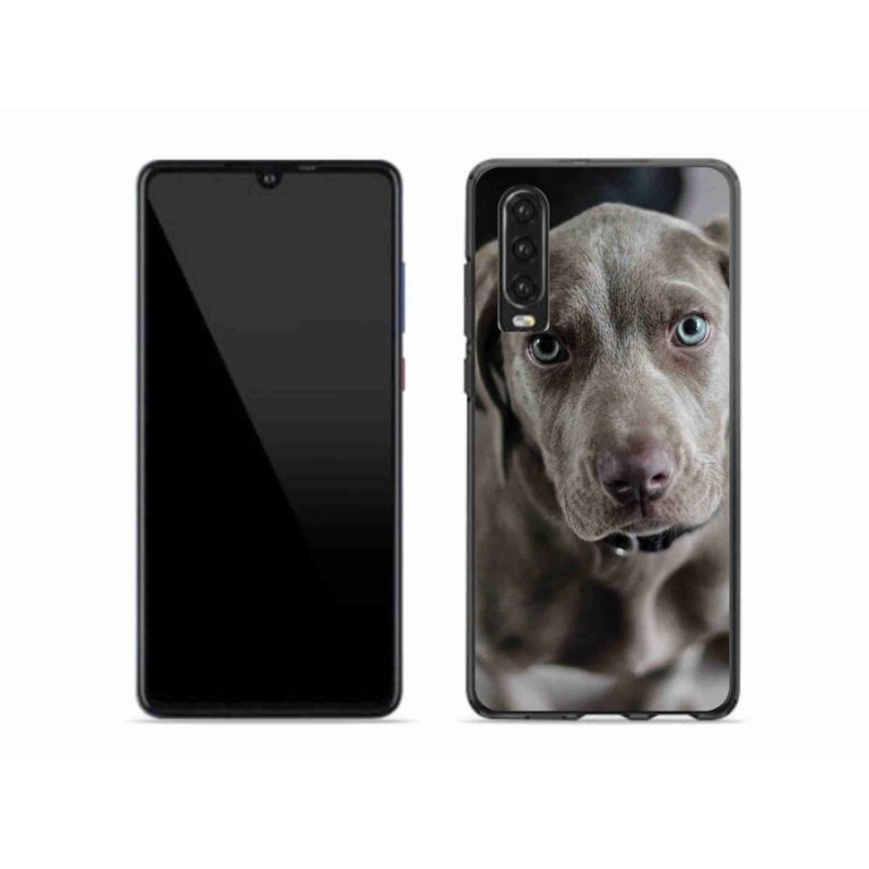 Gelový obal mmCase na mobil Huawei P30 - výmarský ohař