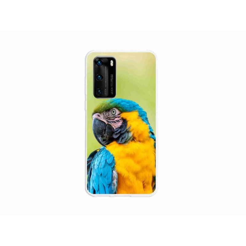 Gelový obal mmCase na mobil Huawei P40 - papoušek ara 2