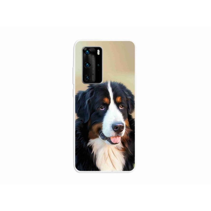 Gelový obal mmCase na mobil Huawei P40 Pro - bernský salašnický pes
