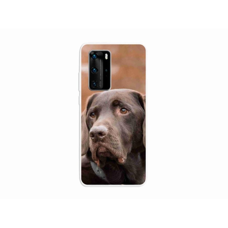 Gelový obal mmCase na mobil Huawei P40 Pro - hnědý labrador