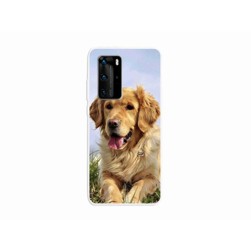 Gelový obal mmCase na mobil Huawei P40 Pro - zlatý retrívr